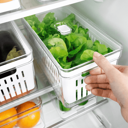 Kit 2 Organizadores Clear Fresh com Cesto 5 Litros
